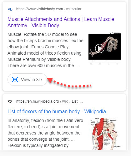 3D SERP Image