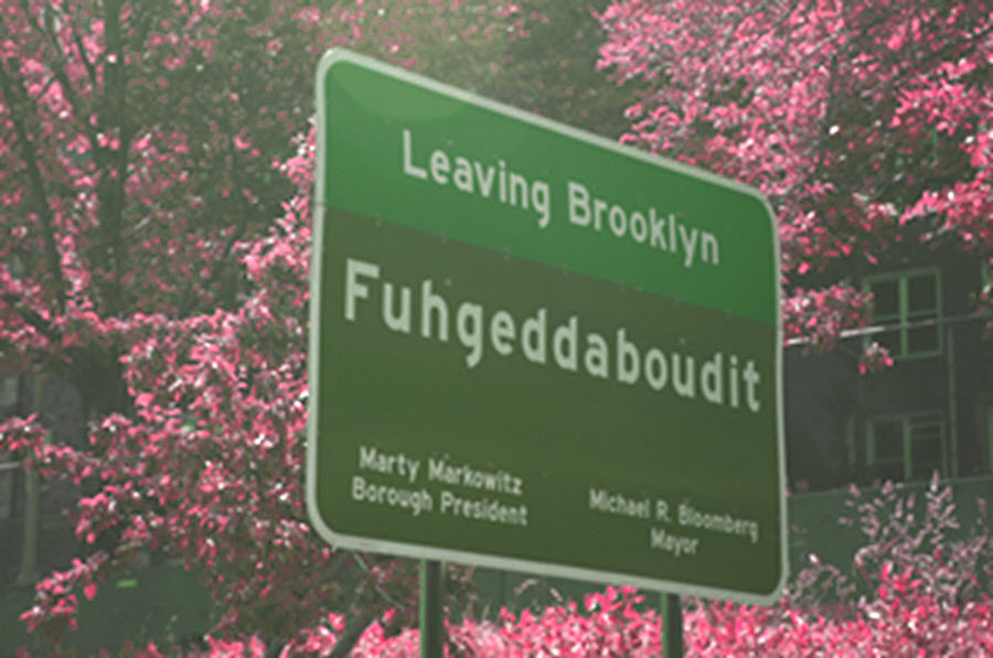 Leaving Brooklyn Sign 
