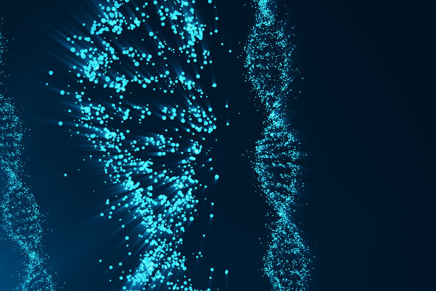 Digital DNA