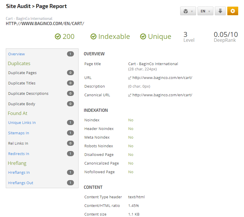 Site Audit Page Report 