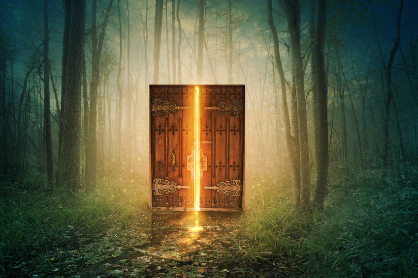 Forest Door 