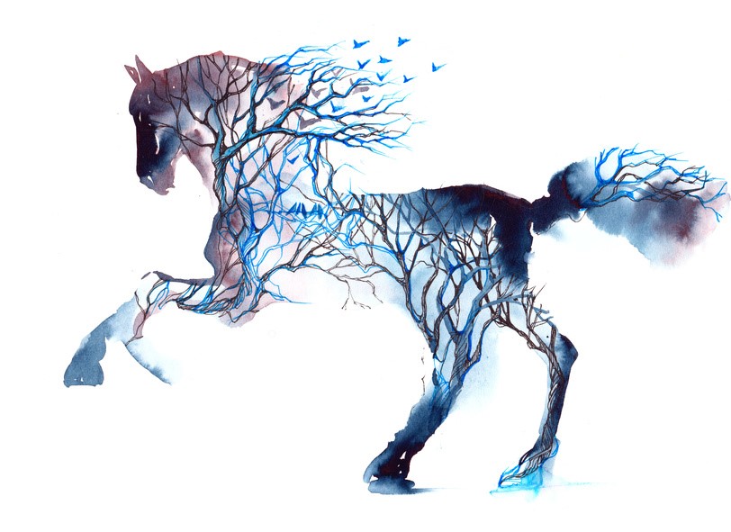 Free Spirited Horse 