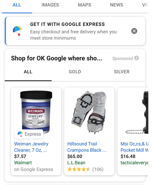 Google Express Promotion