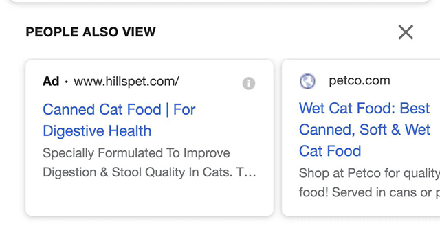 People Also View Google Ads Test 
