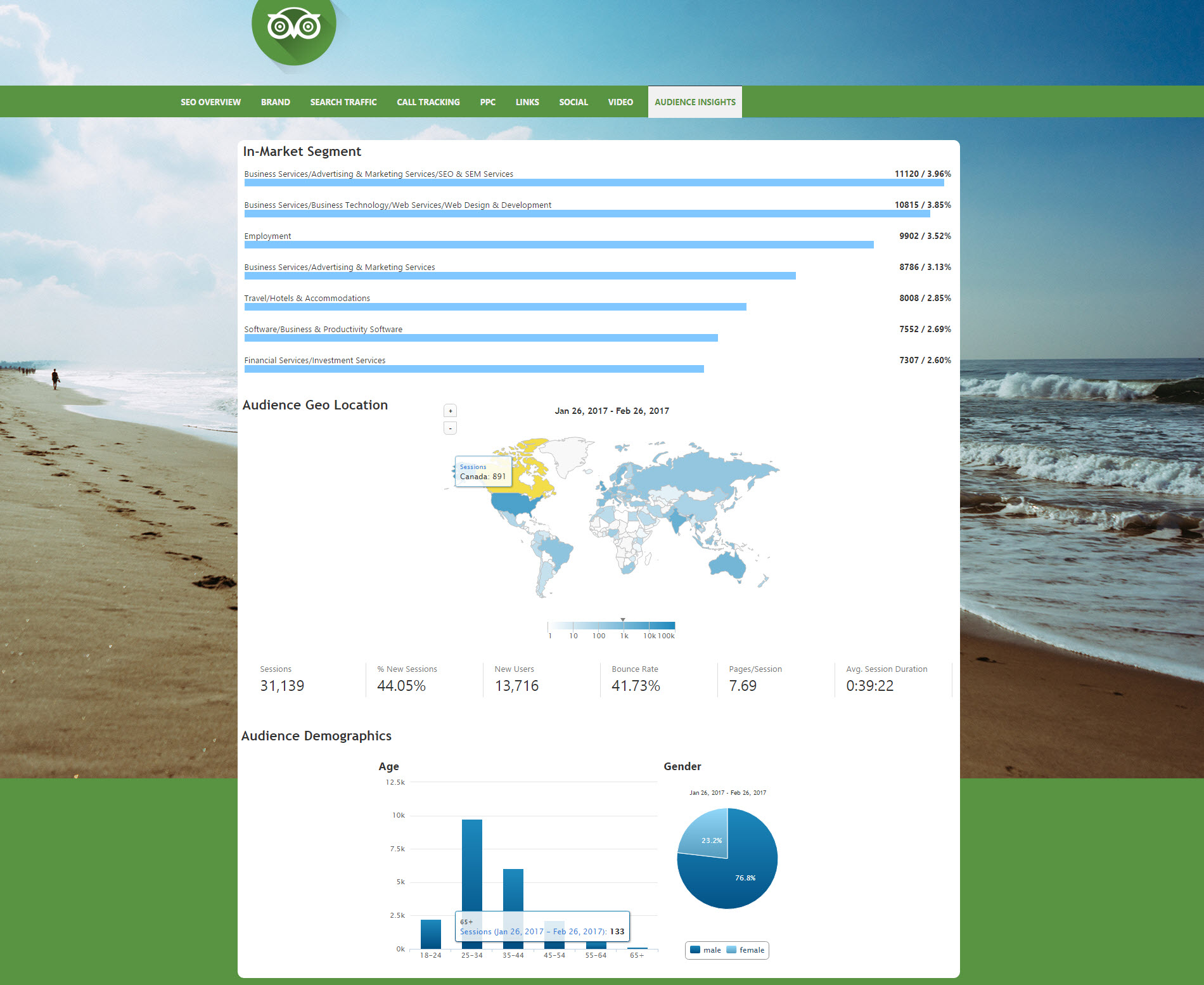 Google Audience Analytics in White Label Reports