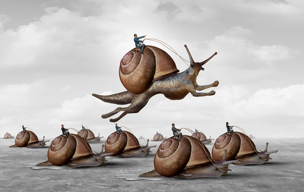 Jumping Snail Race 