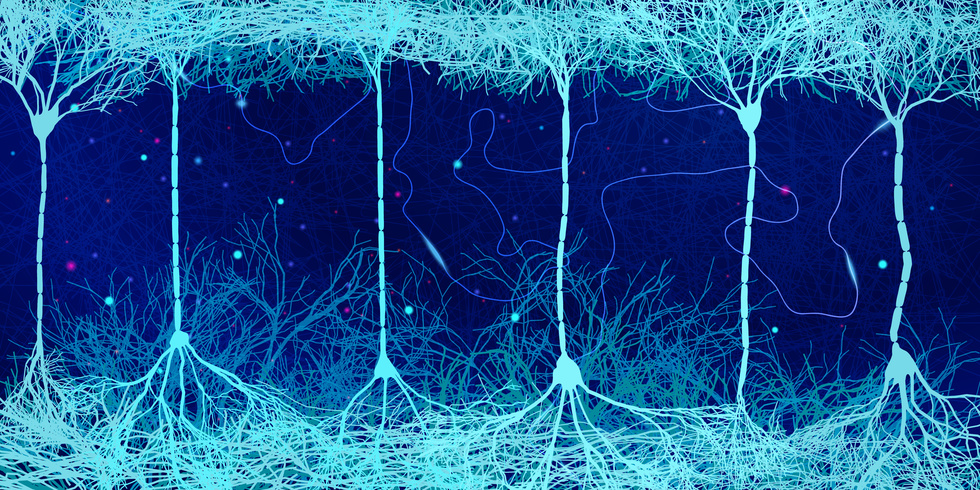 Neurons Connecting 