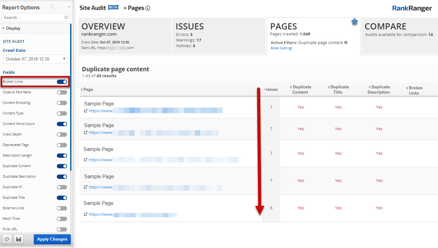 Site Audit Pages Report 