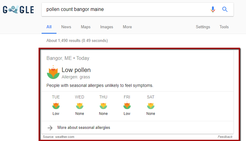 Pollen Level SERP Feature 