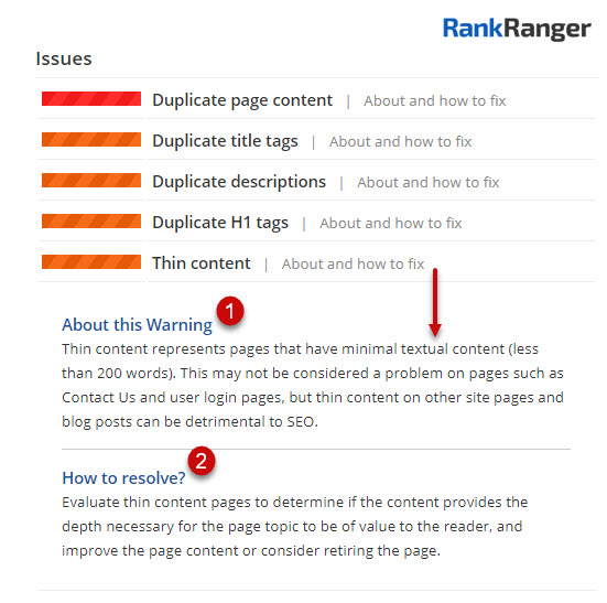 Site Audit Page Issues 