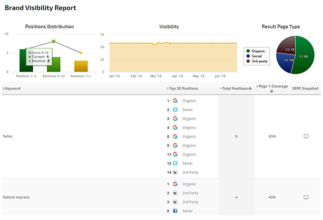 Brand Visibility Report