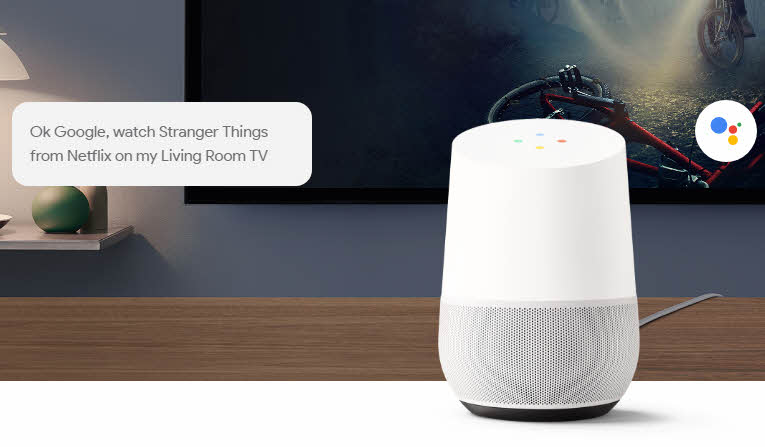 Google Home Assistant