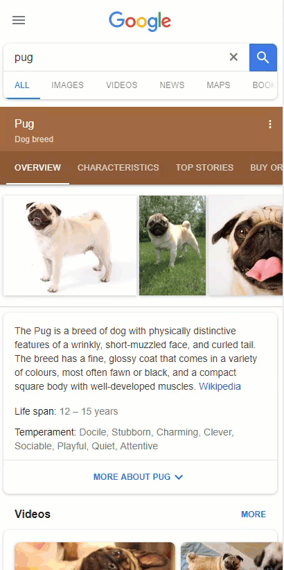Topical Survey for Pugs on the SERP