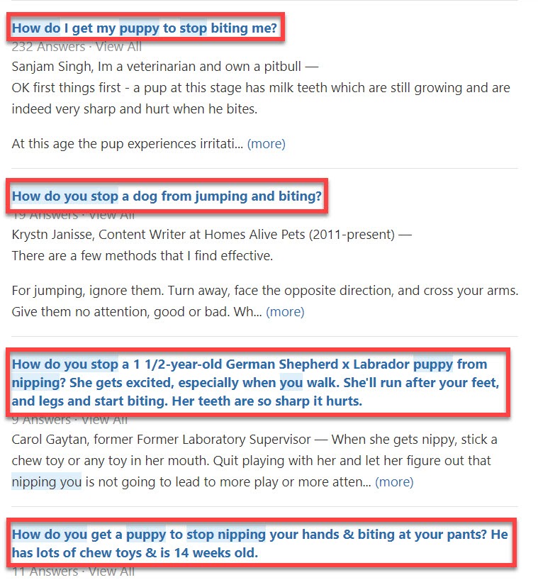 Quora.com search for the term 'how to get my puppy to stop biting me'