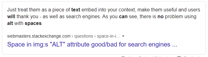 Featured Snippet for the term 'can alt tags have spaces'