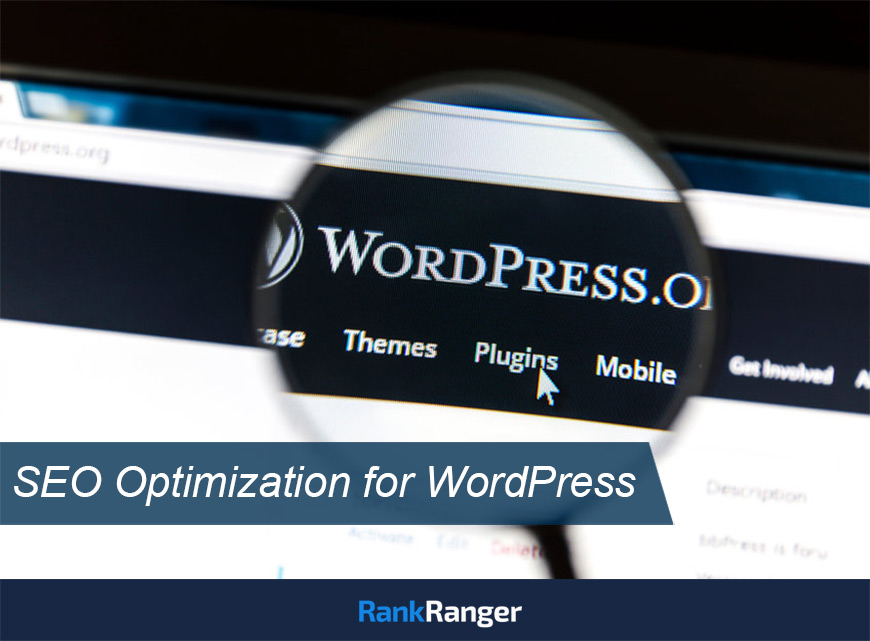 SEO Optimization for WordPress | Rank Ranger