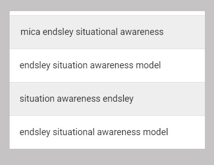 Search queries including Mica Endsley and situational awareness
