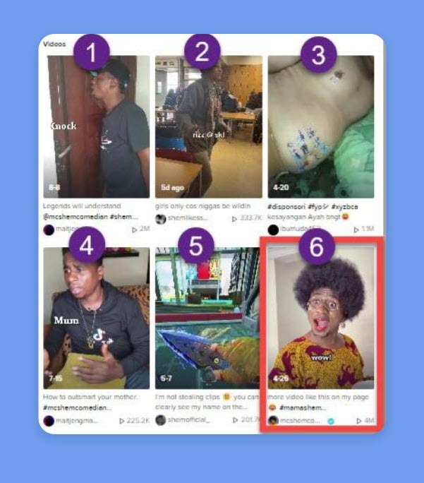 TikTok search results