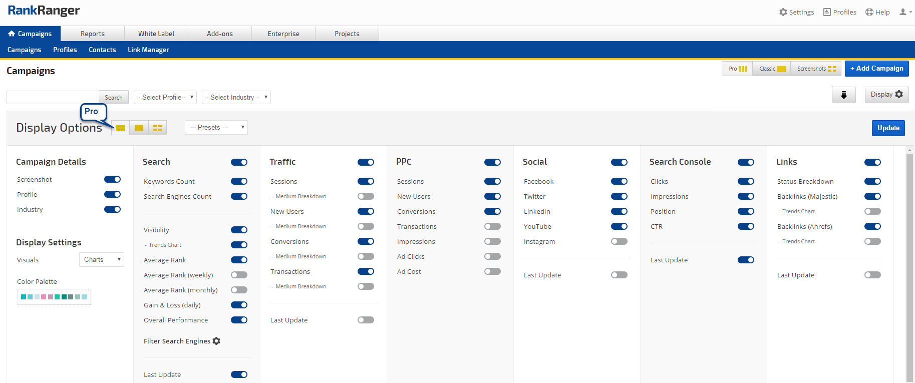 Pro View Campaign Summary Screen Display Options