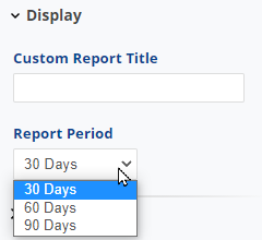 Display settings custom report title