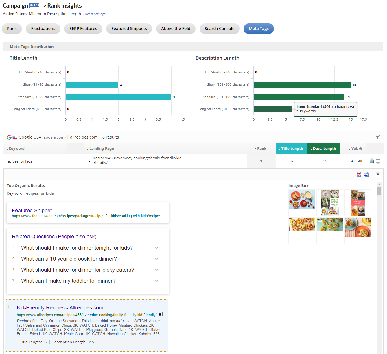Meta Tags report filtered