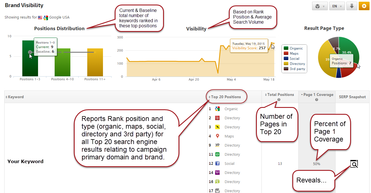 Brand Visibility Report
